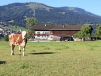 Unsere-Landwirtschaft